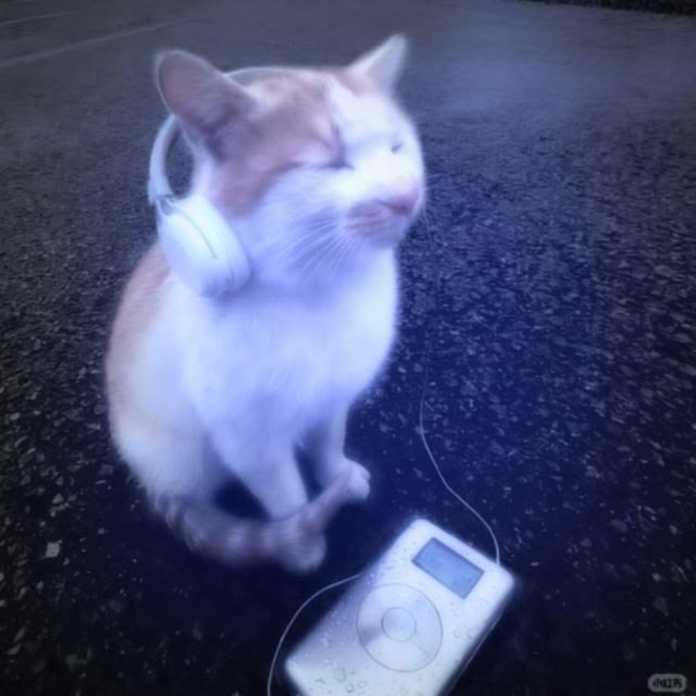 Vibing Cat in the parking lot at night